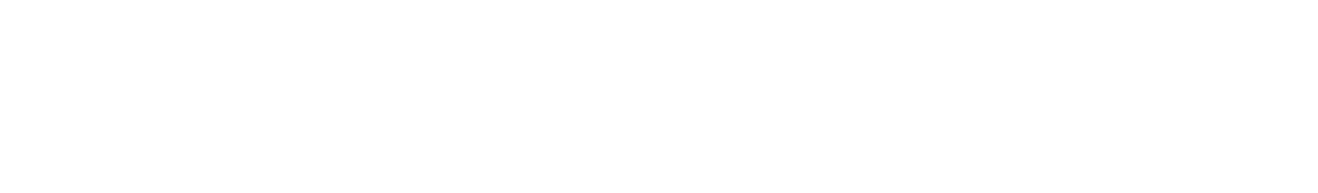 Birmingham logo
